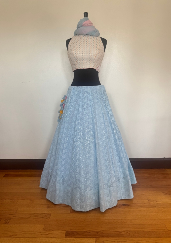 Pastel Blue Crop Top with Embroidered Le